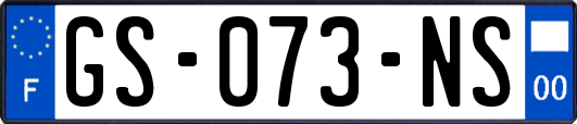 GS-073-NS