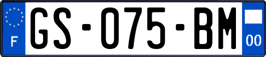 GS-075-BM