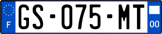 GS-075-MT