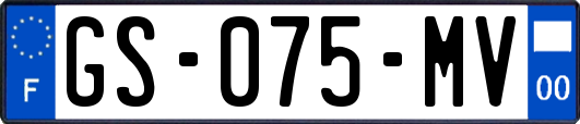 GS-075-MV