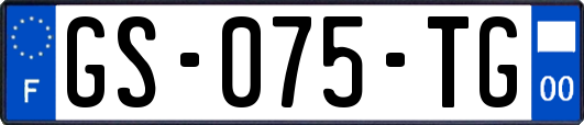 GS-075-TG