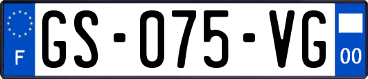 GS-075-VG