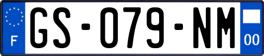 GS-079-NM