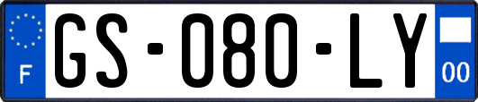 GS-080-LY