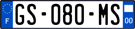 GS-080-MS