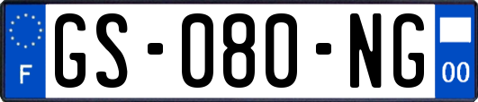 GS-080-NG