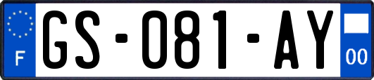 GS-081-AY