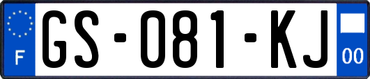 GS-081-KJ