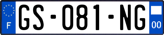 GS-081-NG