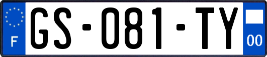 GS-081-TY