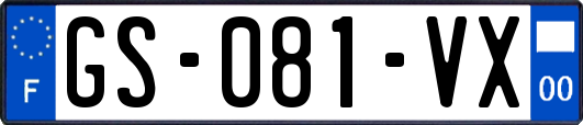 GS-081-VX