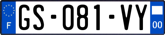 GS-081-VY