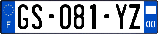 GS-081-YZ