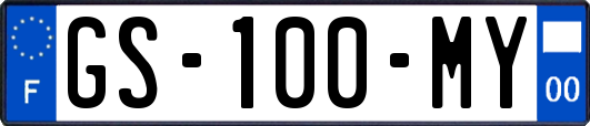 GS-100-MY