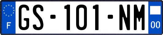 GS-101-NM