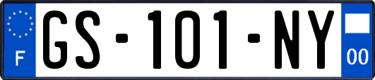 GS-101-NY
