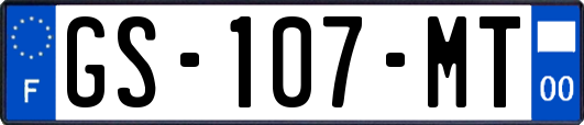 GS-107-MT