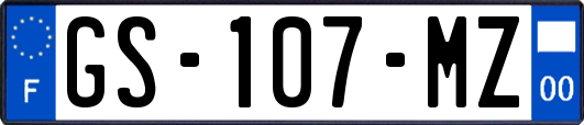 GS-107-MZ