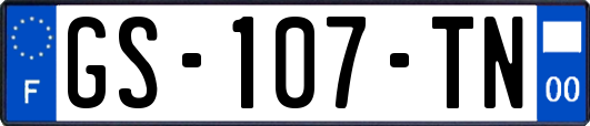GS-107-TN