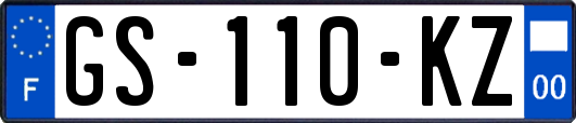 GS-110-KZ