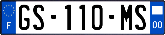 GS-110-MS