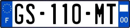 GS-110-MT