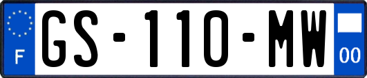 GS-110-MW