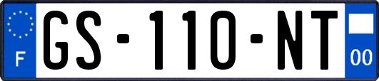 GS-110-NT