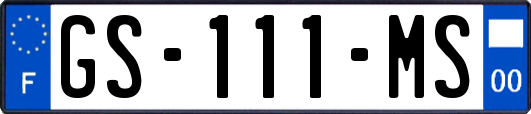 GS-111-MS