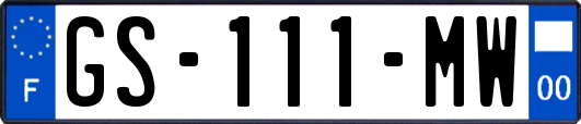 GS-111-MW
