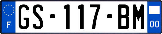 GS-117-BM