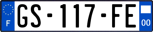 GS-117-FE