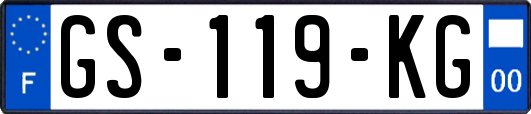 GS-119-KG