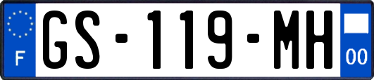 GS-119-MH
