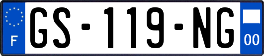 GS-119-NG