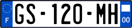 GS-120-MH