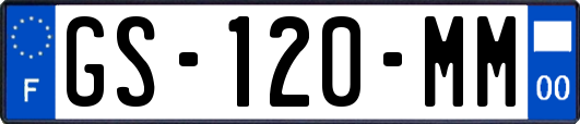 GS-120-MM