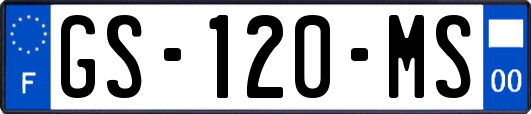 GS-120-MS