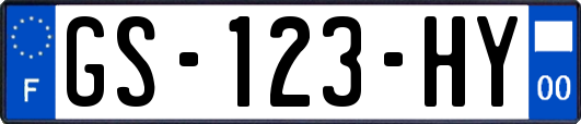 GS-123-HY
