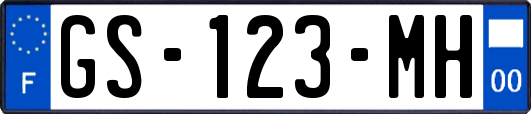 GS-123-MH