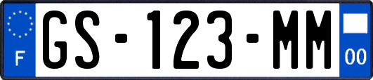 GS-123-MM