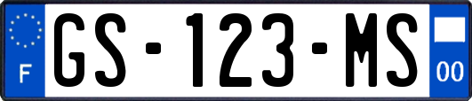 GS-123-MS