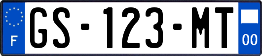 GS-123-MT