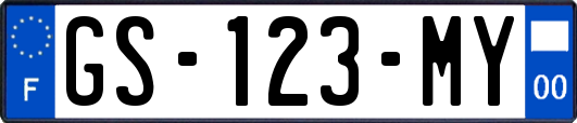 GS-123-MY