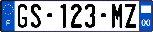 GS-123-MZ