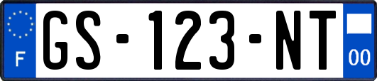 GS-123-NT
