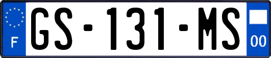 GS-131-MS