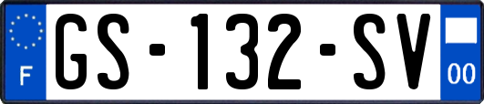 GS-132-SV