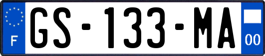 GS-133-MA