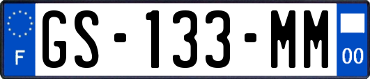 GS-133-MM